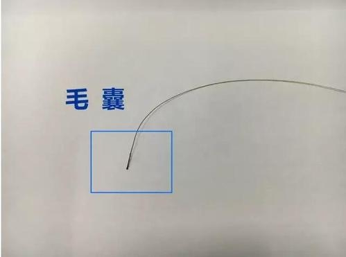 想做個人親子鑒定，頭發(fā)可以鑒定嗎？